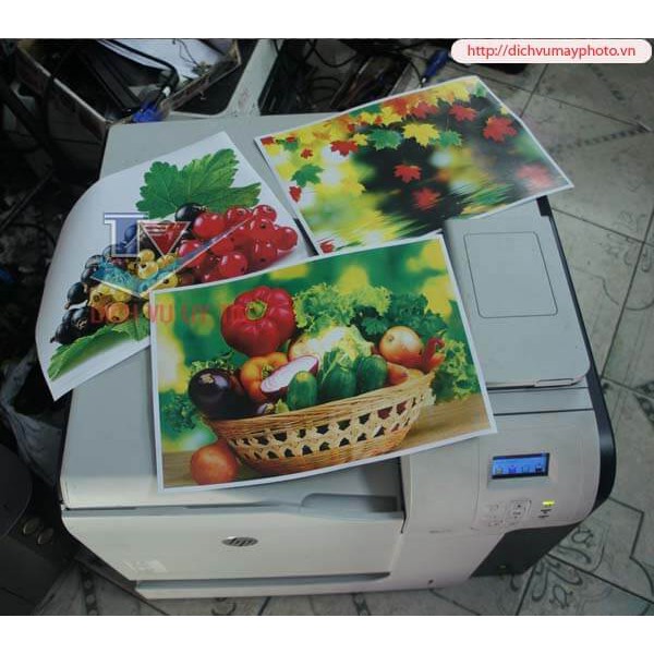 Máy in cũ laser màu A3 HP 500