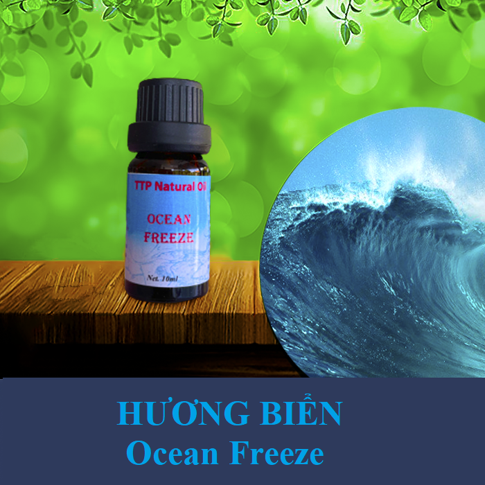 Tinh dầu Ocean Freeze thơm mát, khử mùi - 10ml
