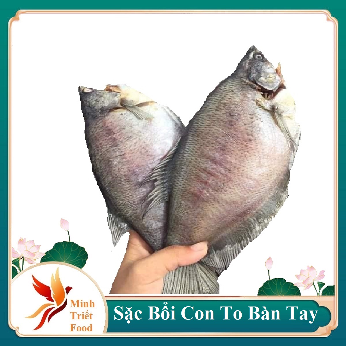 4-5 CON/500gr KHÔ CÁ SẠC BỔI THƯỢNG HẠNG LÀM QUÀ CAO CẤP  -ĐẶC SẢN MINH TRIẾT CÀ MAU