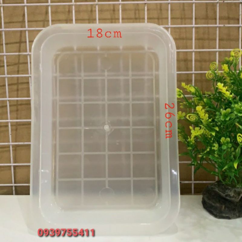Thau tắm cho chim chích chèo thau thắm cho chim sáo thau đựng sâu cho chim