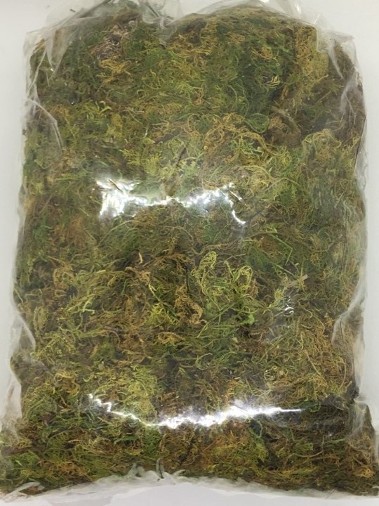 200gr rêu rừng xanh giữ ẩm - rêu xanh giữ ẩm - ốc mượn hồn hcm