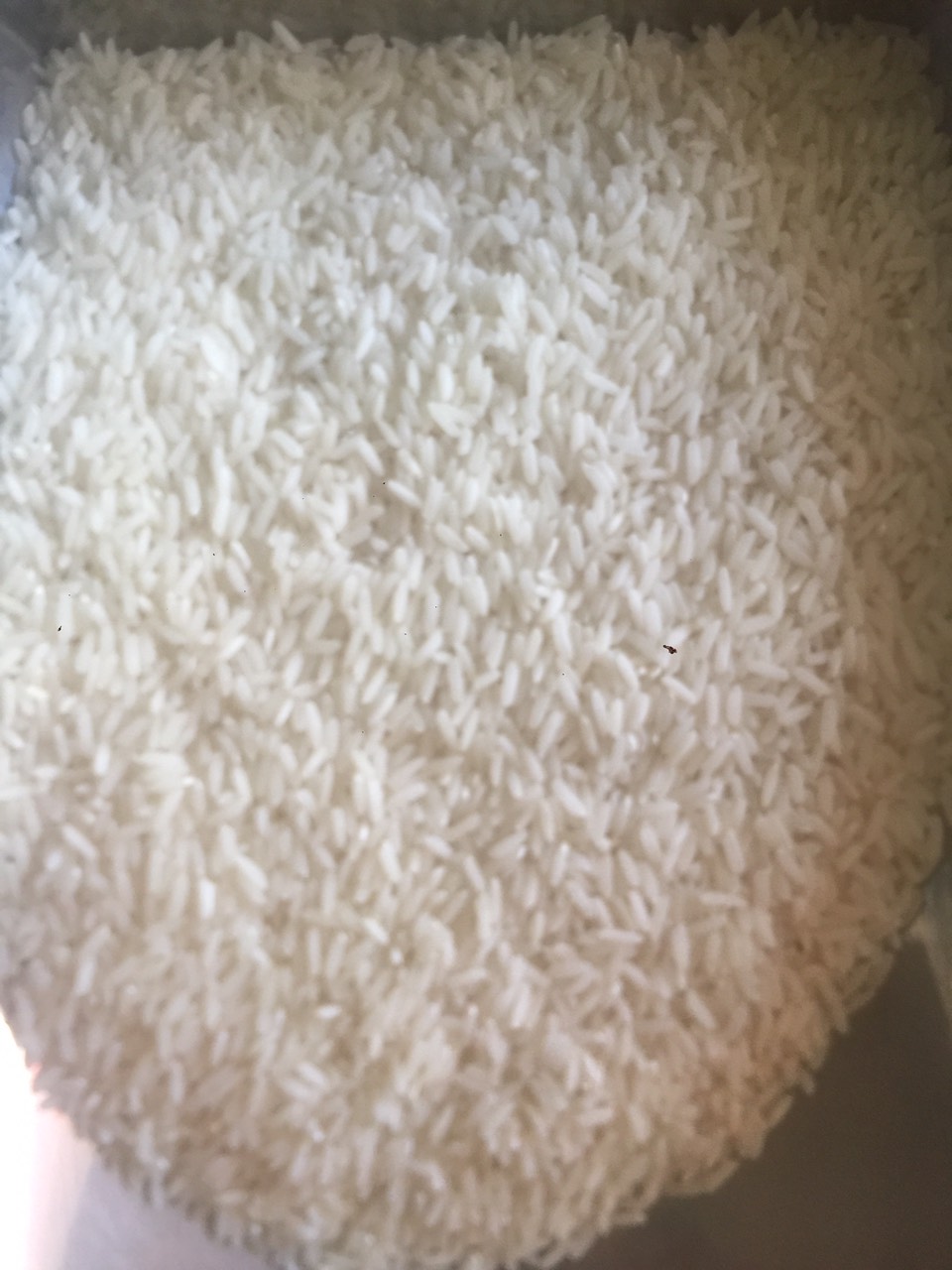 Gạo nàng hoa túi 10kg