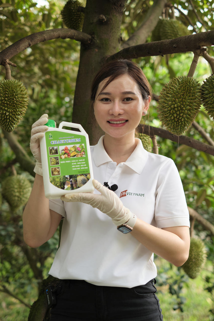 Phòng nấm sinh học - PH Việt Nam - Chaetomium - Phân bón vi lượng - đánh bay vàng lá, thán thư, đốm nâu đốm đen - PH Việt Nam