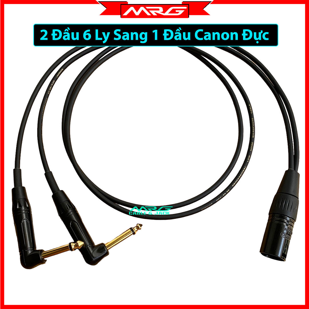 Dây 2 Đầu 6 Ly Ra 1 Đầu Canon Đực, dài 0.5met và 1met, giá 1 dây | dây canon 6ly, dây 6ly canon, 1 đ