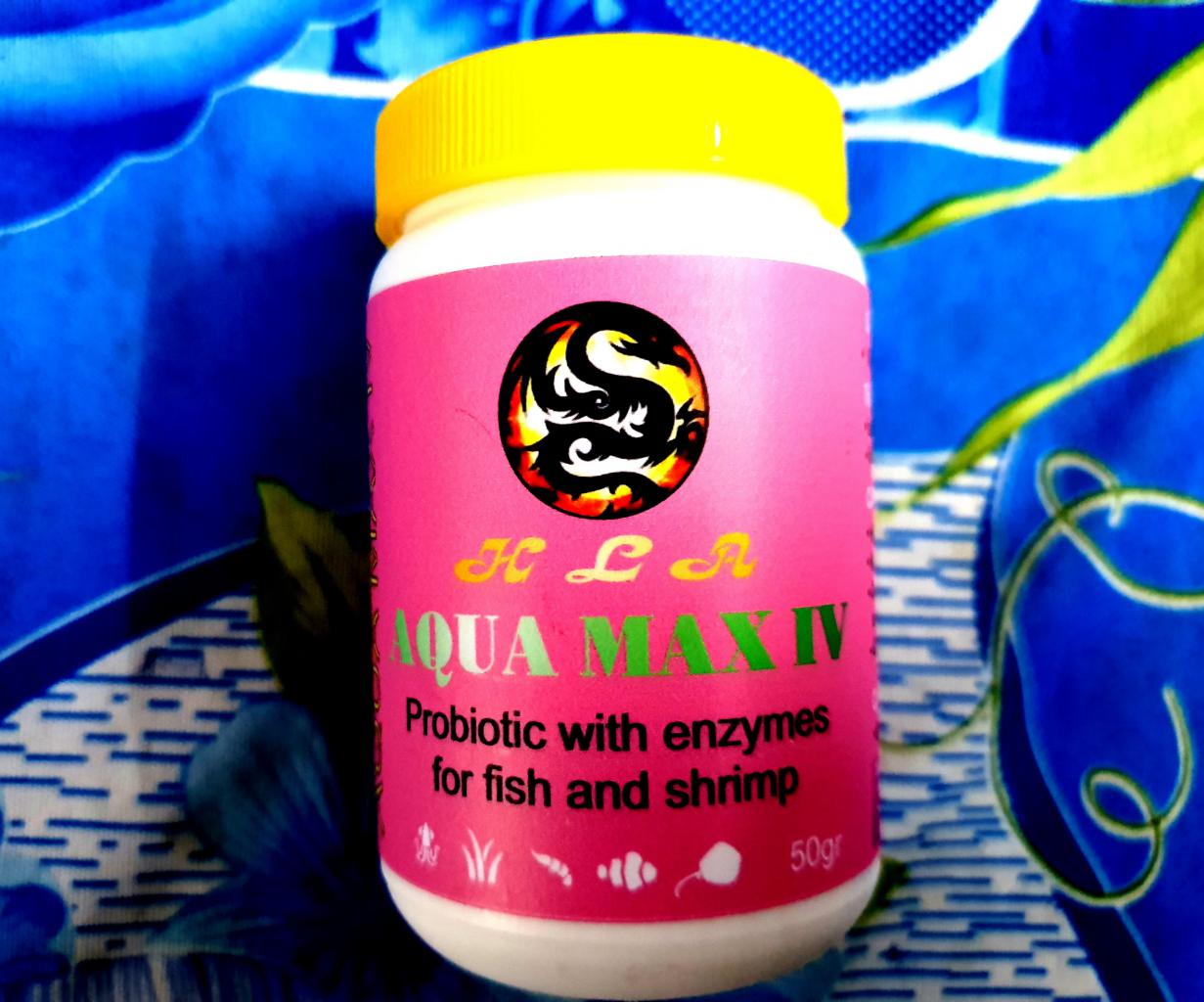 Men Tiêu Hóa Cho Cá Rông Aqua Max IV