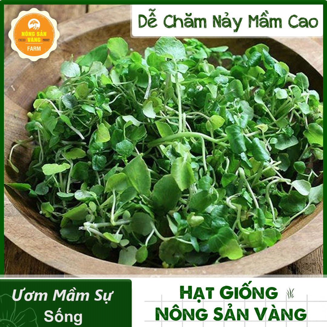 Hạt Giống Cải Xoong (Xà Lách Xoong) Dễ Trồng Hương Vị Độc Đáo, Nhiều Công Dụng Tốt Cho Sức Khỏe (gói 0.5 Gram) - Nông Sản Vàng