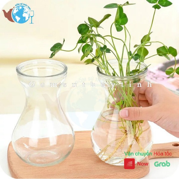 Bình bông lọ hoa thủy tinh miệng loe trồng tiên ông, thủy sinh, đựng sinh tố 300ml