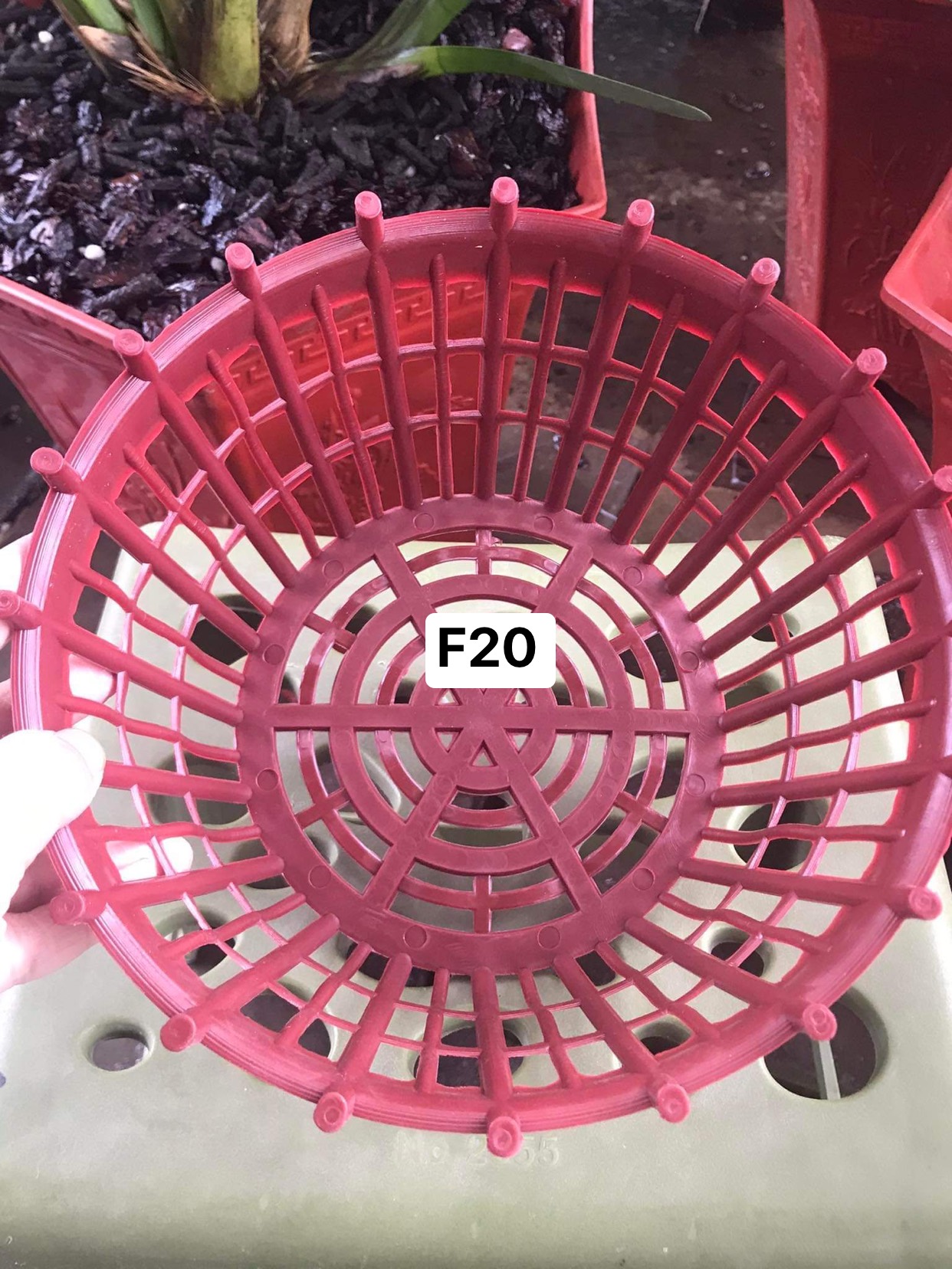10 Chậu nhựa trồng lan có nan phụ f20 HD