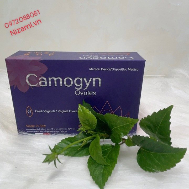 Viên đặt phụ khoa vùng kín camogyn giúp hỗ trợ viêm nhiễm vùng kín se khít 1 hộp 10 viên nizami