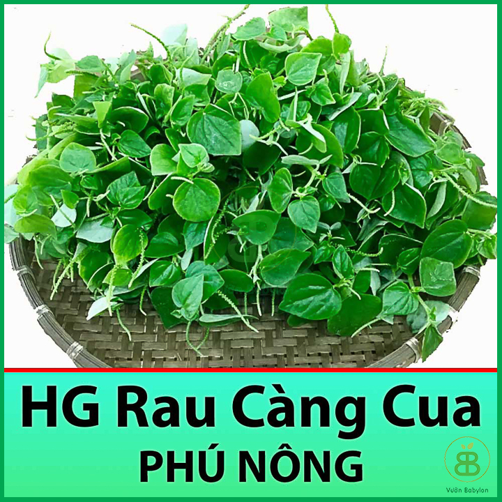 Hạt Giống Rau Càng Cua 0,5Gr Dễ Trồng, Dễ Chăm Sóc