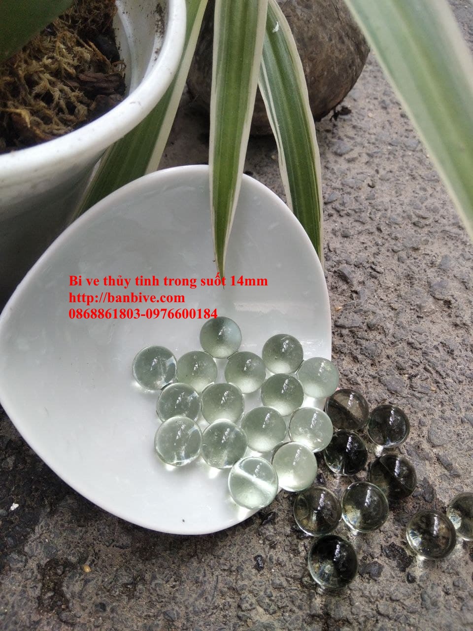 Bi ve - bộ viên bi thủy tinh trong suốt đường kính 14mm hoặc 16mm bộ 20 viên