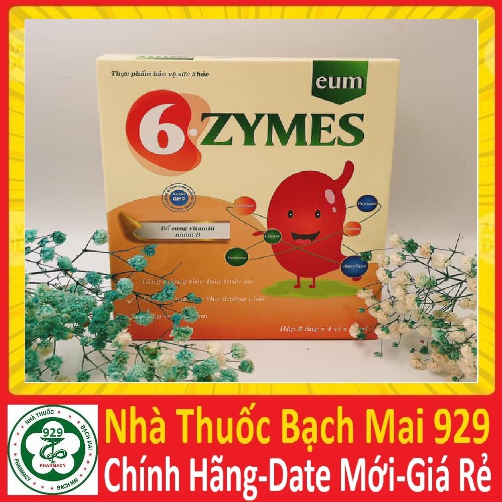 6 Zymes - Bổ sung đầy đủ 6 loại enzyme và vitamin nhóm B cần thiết cho cơ thể HÀNG CÔNG TY