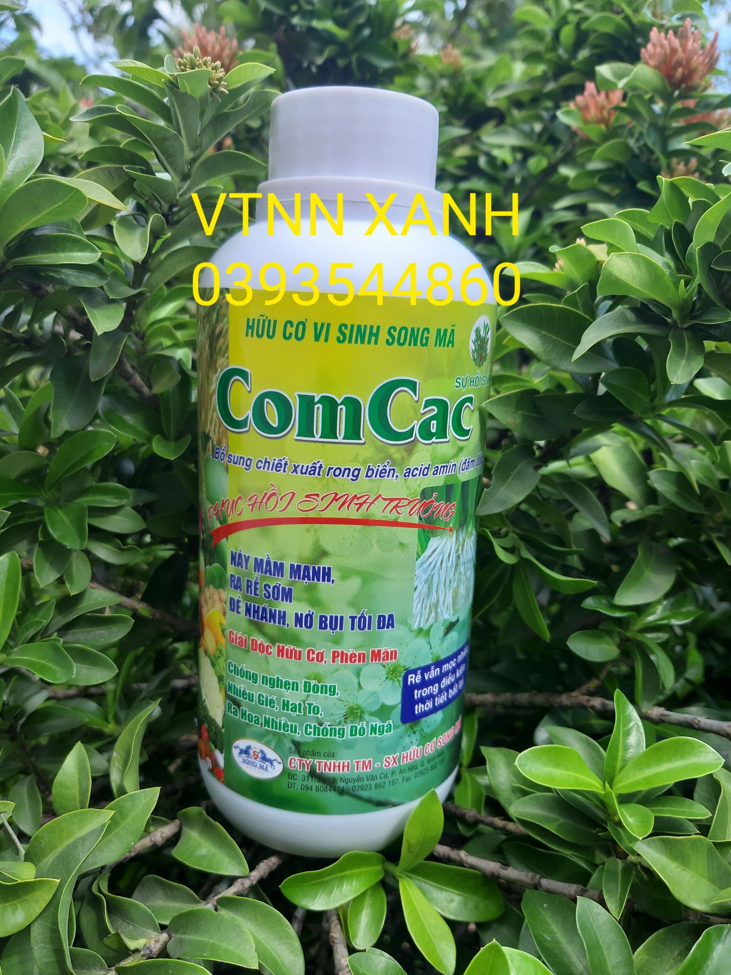 Phân bón lá Comcac -Thuốc điều hòa sinh trưởng Nảy mầm nhanh Ra rễ sớm Kích thích sinh trưởng