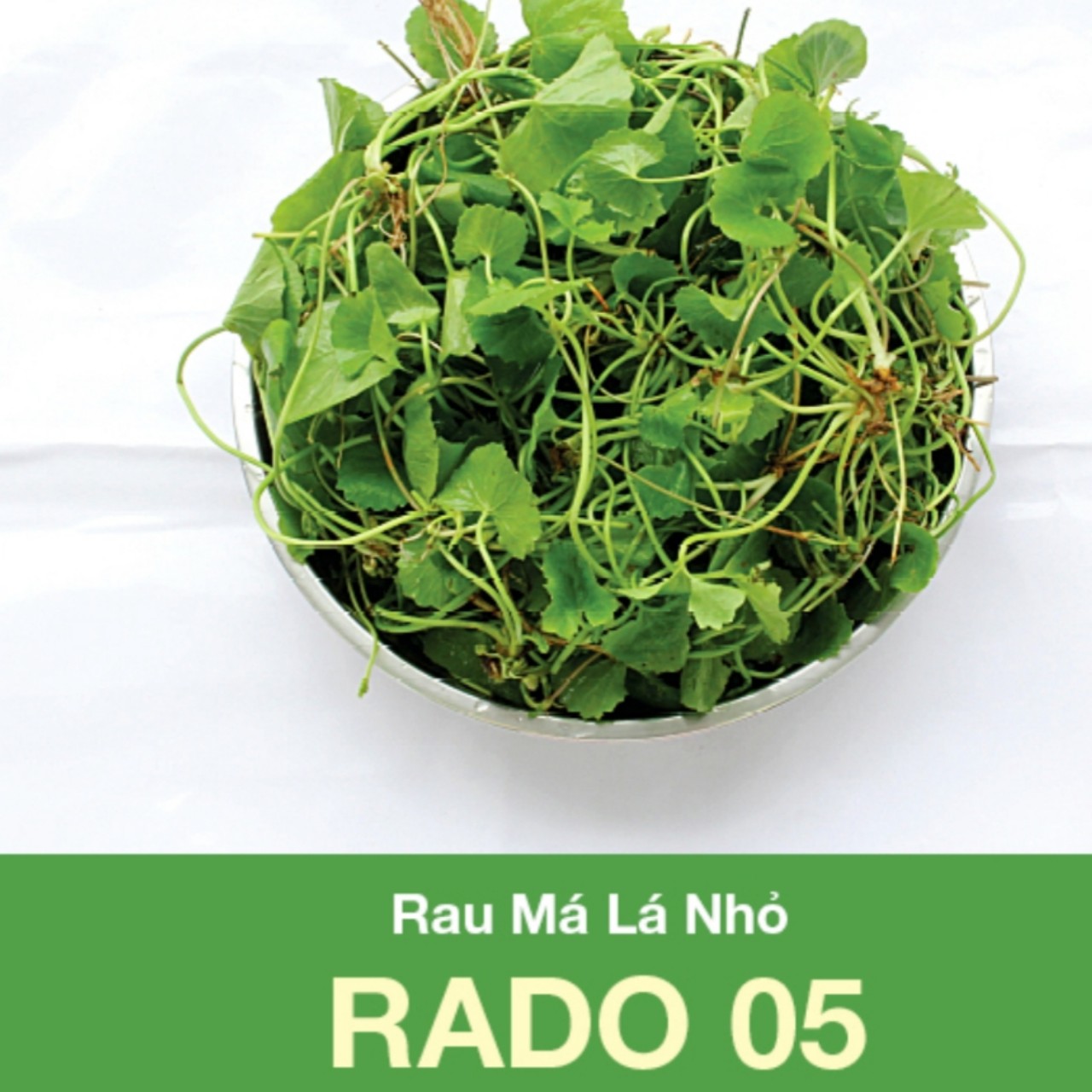 Hạt giống rau má lá nhỏ rado 05