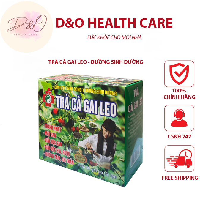 ( 50 Túi Lọc ) Trà Cà Gai Leo  Dưỡng Sinh Đường Giúp Giải Độc Gan, thanh lọc cơ thể, An Thần
