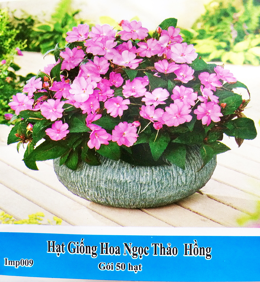 [HCM]hạt giống hoa Ngọc Thảo Hồng sen -gói 50 hạt