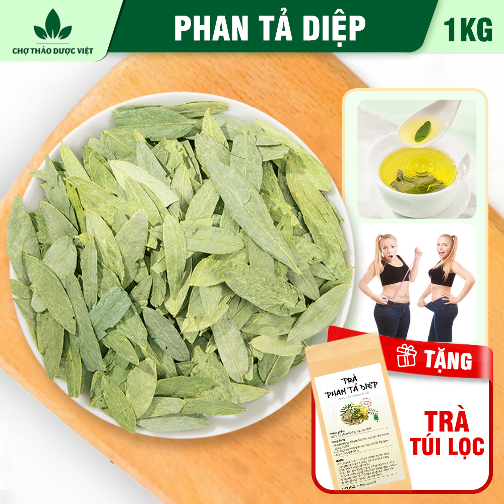 Phan tả diệp 1kg, lá phan tả diệp khô, sạch, không vụn, không lẫn tạp chất - Chợ Thảo Dược Việt