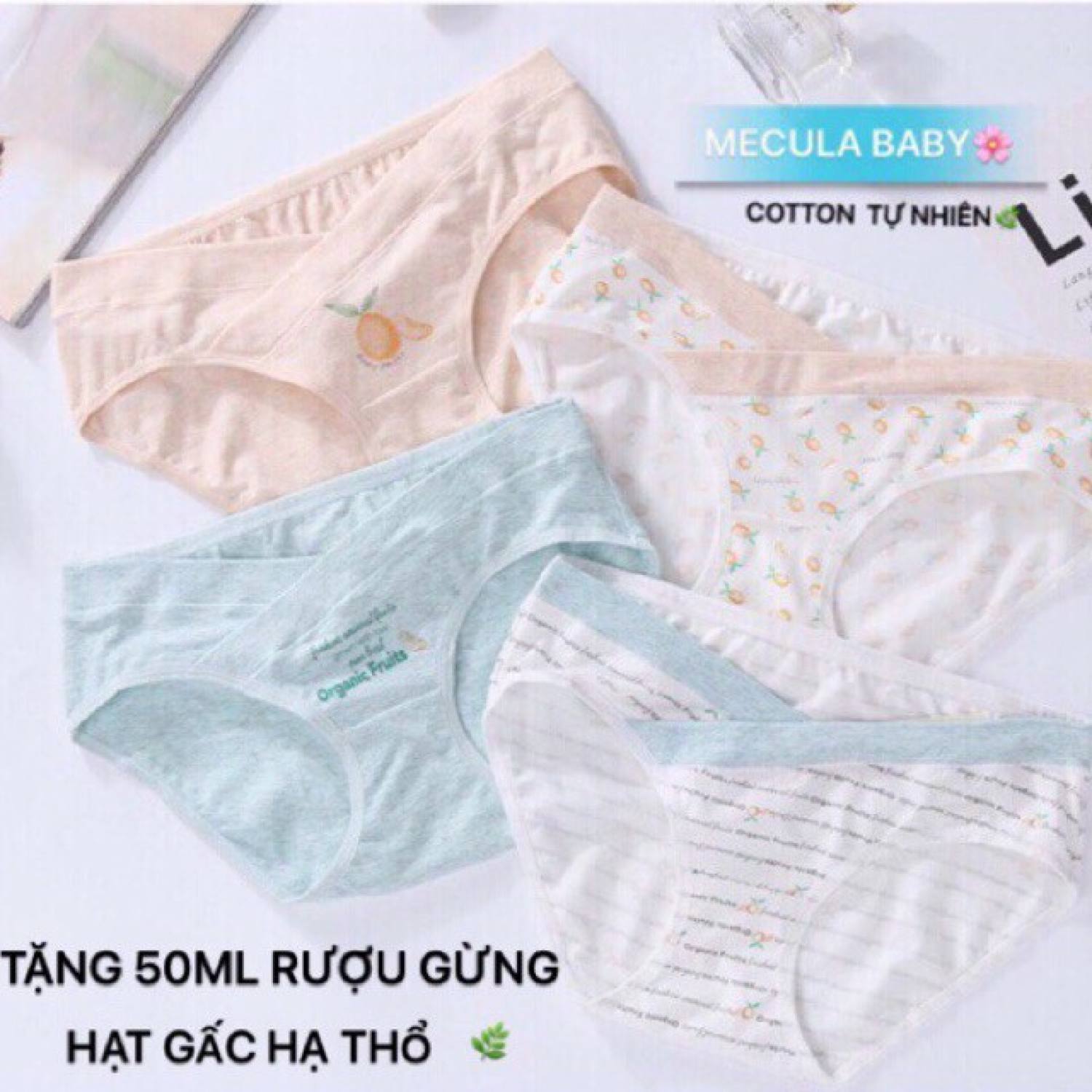 Combo 4 quần lót bầu cotton cao cấp