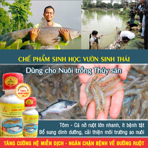 Chế phẩm sinh học Vườn Sinh Thái dùng cho Thủy Sản - Thức ăn bổ sung cho Cá, Tôm - Vỗ béo, nở ruột, chắc thịt lớn nhanh - Siêu vi sinh NANO hiệu quả vượt trội