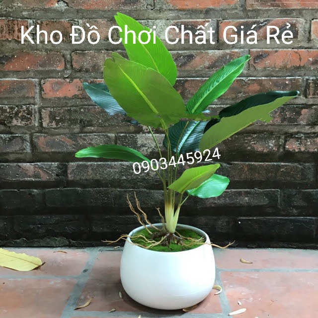 Cây chuối mini - cây chuối cảnh giả trang trí nhà cửa 9 lá cao 40cm