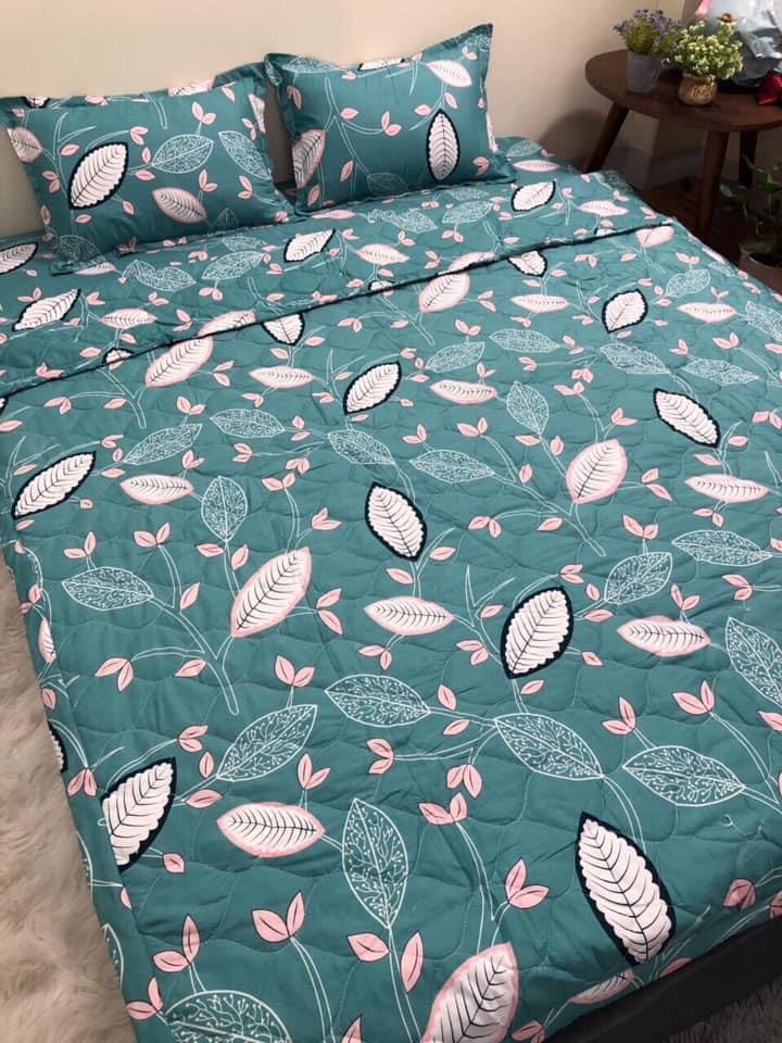 Ga trải giường cotton poly thoáng mát cao cấp