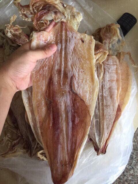 Mực câu thuận an mực khô đủ size, vip 18-20 con/ký , 500gr