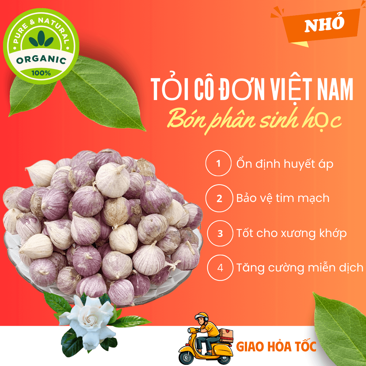 [Organic] [HCM] 500gr Tỏi cô đơn Việt Nam, tỏi mồ côi thơm ngon, tỏi 1 nhánh chắc củ loại NHỎ không hóa chất tăng trưởng, tốt cho sức khỏe - thương hiệu VỢ CHỒNG TÔI