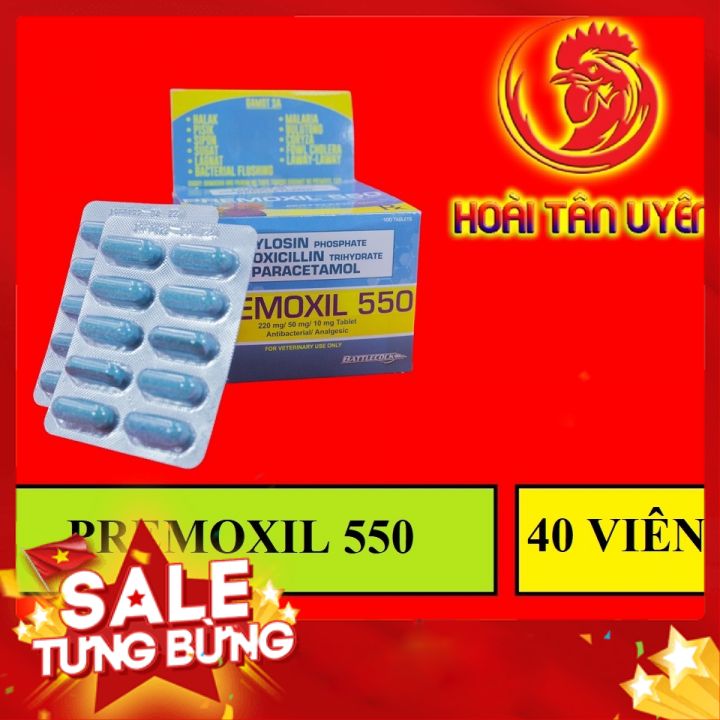 Premoxil 550 sỗ mũi khò khè cho gà đá 1 hộp 100 viên