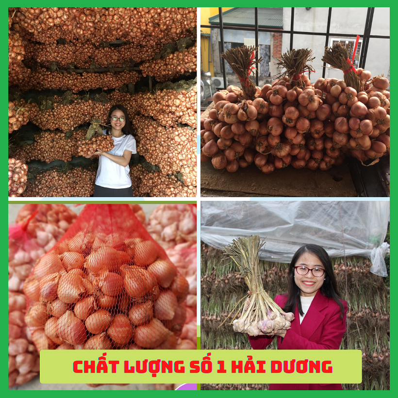 Hành tỏi khô loại 1 kinh môn combo 3kg, cam kết chất lượng khô - ngon -thơm - củ to, đặc sản hải dương