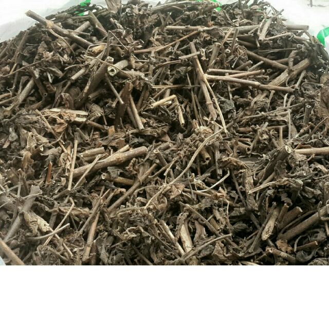 nhân trần khô