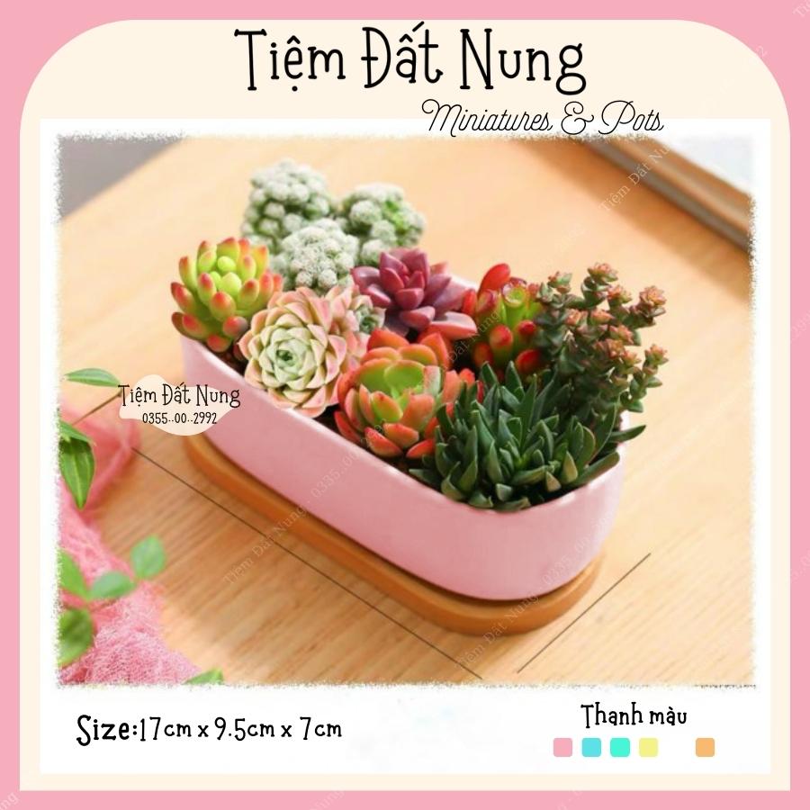 Chậu đất nung dáng thuyền nhiều màu, chậu sứ trồng cây bonsai sen đá decor, tiemdatnung, gốm sứ bát tràng