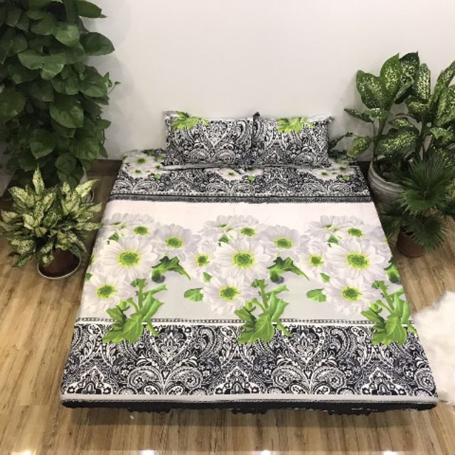 Set 3 món ga gối cotton cúc trắng 3d
