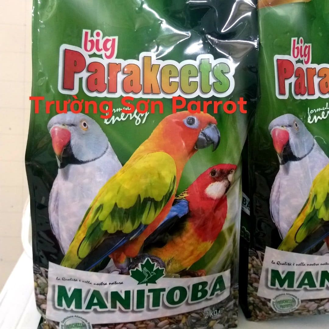 1kg Hạt trộn BIG PARAKEETS dùng cho vẹt sun, ringneck và các dòng cùng size