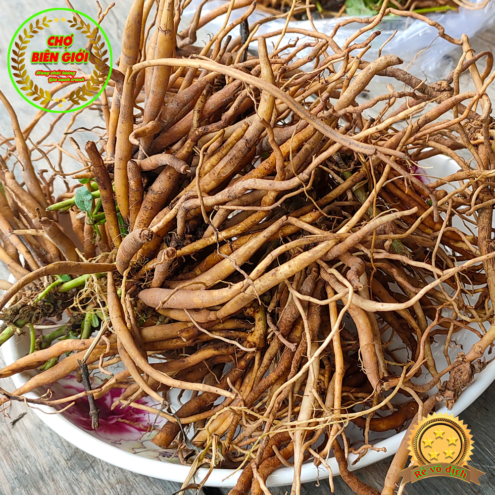 Củ Sâm đất (Trái Nổ) Loại Tươi Nấu Nước Uống Mát Và Nhiều Công Dụng Tốt Cho Sức Khỏe Gói 1Kg