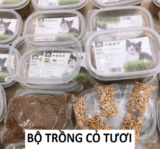 Bộ Trồng Cỏ Cho Mèo