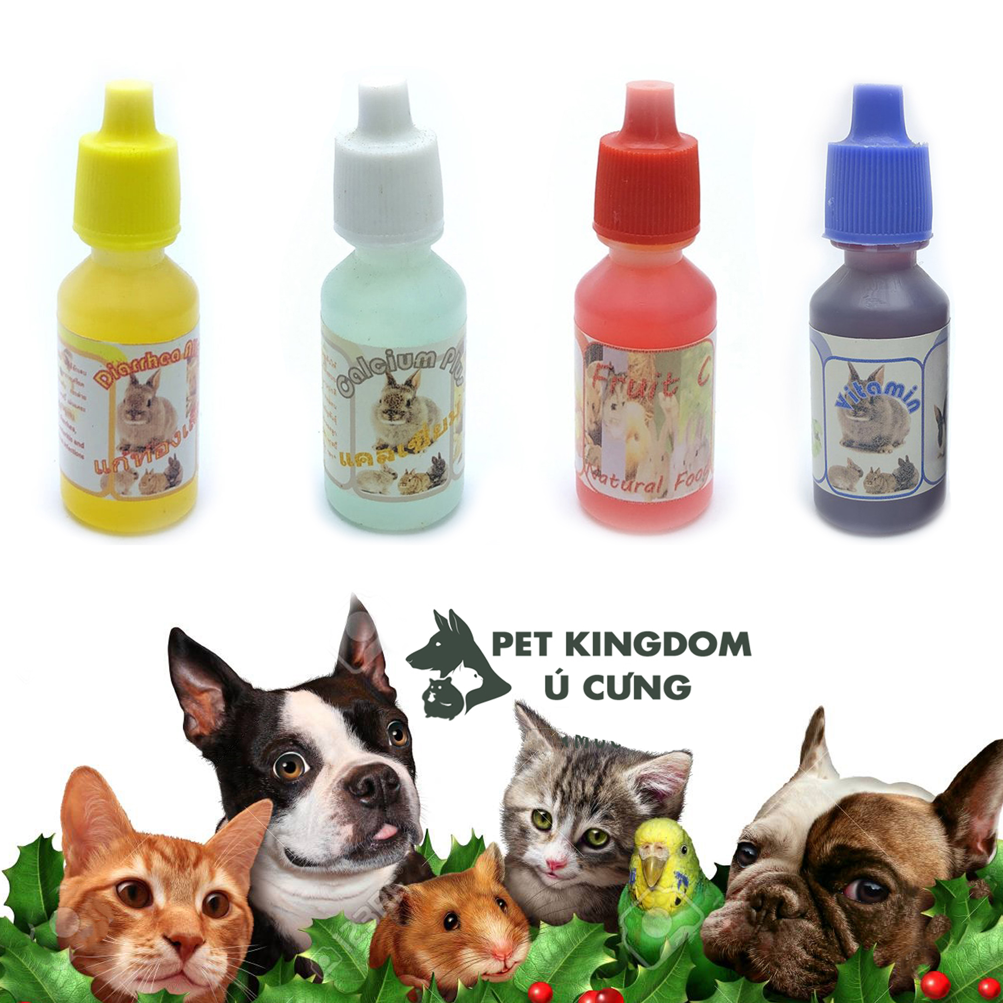 Vitamin c - canxi - tiêu chảy - vitamin tổng hơp cho hamster - guinea pig - thỏ