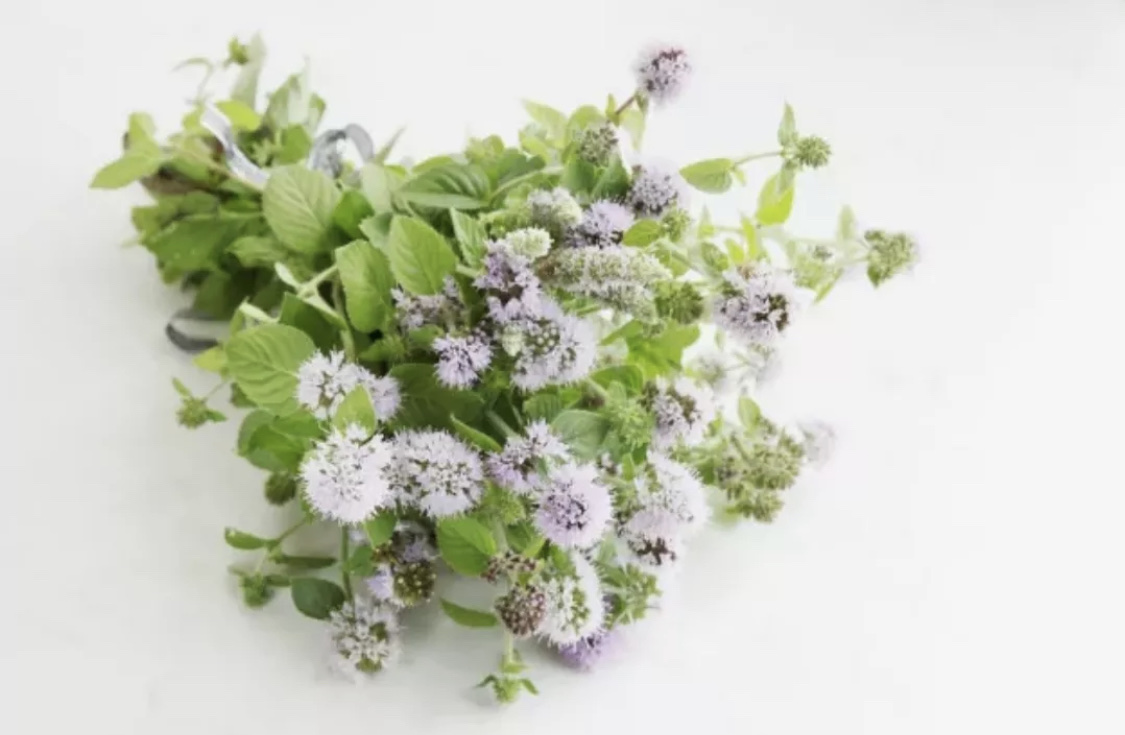 [ HOANG STORE 47  ]Mật Ong Bạc Hà  Nguyên Chất CAO NGUYÊN -HÀ GIANG [ 1 Lít = 2 chai 500ml ] - Loại cao cấp dùng tốt cho sức khỏe