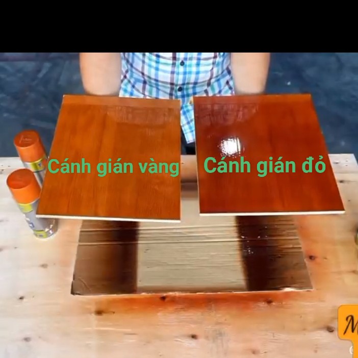  Sơn xịt màu cánh gián chai 400ml xịt màu cánh gián giữ được vân gỗ màu bóng đẹp hệ Acrylic 