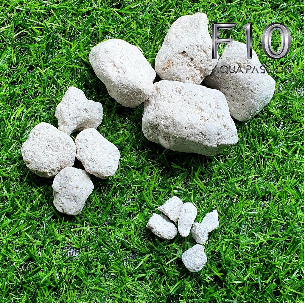 Đá lông vũ Đá nham thạch trắng 500G TURKEY vật liệu lọc hồ cá giá rẻ - 2-4 cm