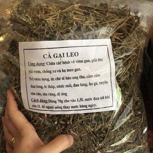 Cà gai leo khô đóng túi 1kg
