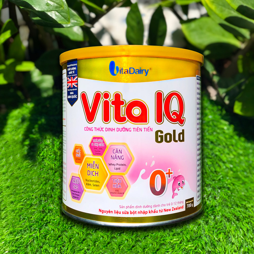 Sữa bột vita iq gold 0+ 700g - bixi shop
