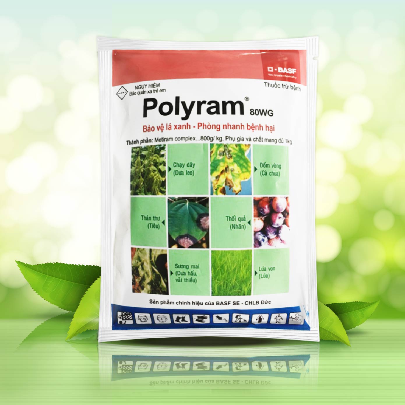 Thuốc trừ bệnh Polyram 80WG – Đặc biệt thán thư, sương mai