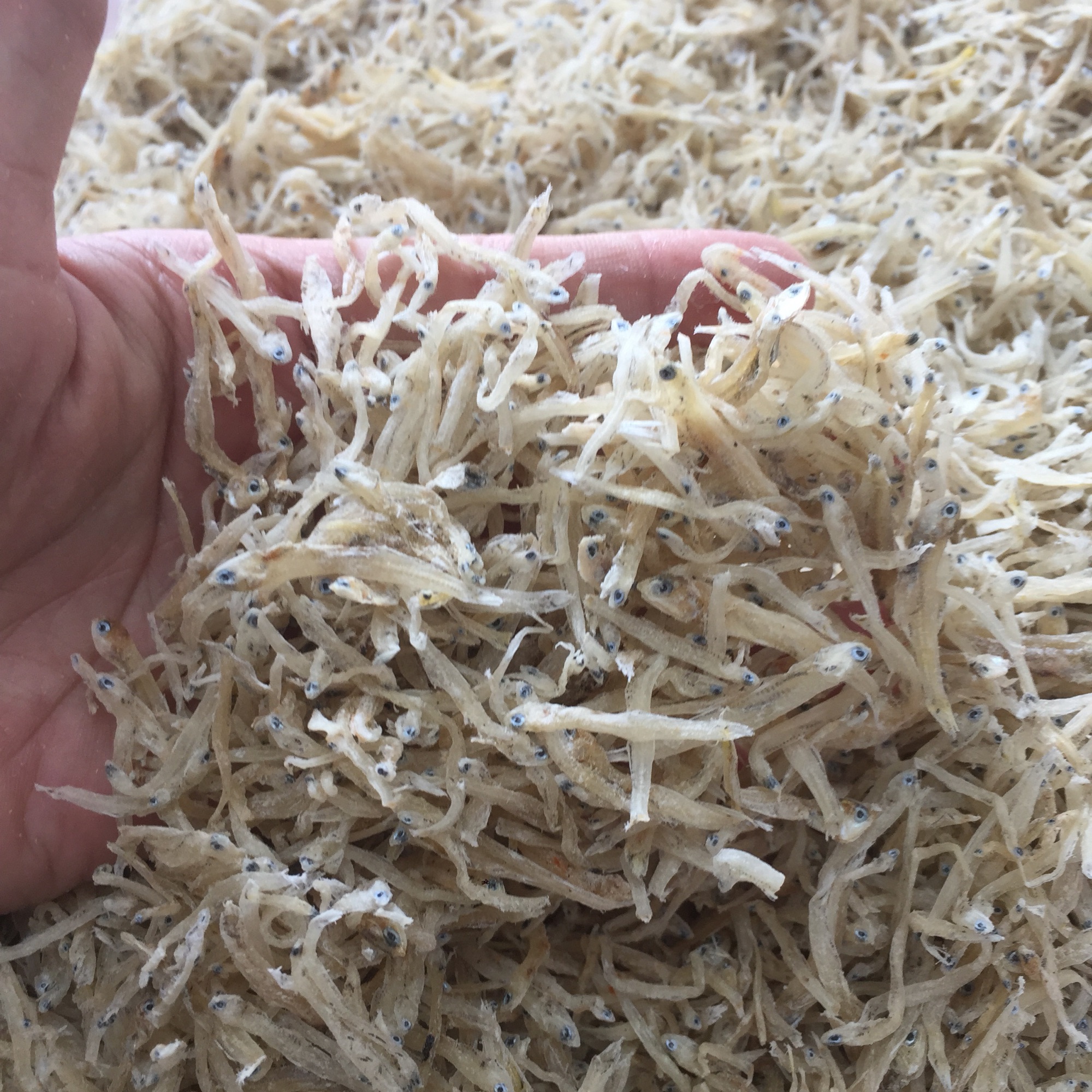 Cá cơm sữa 500g