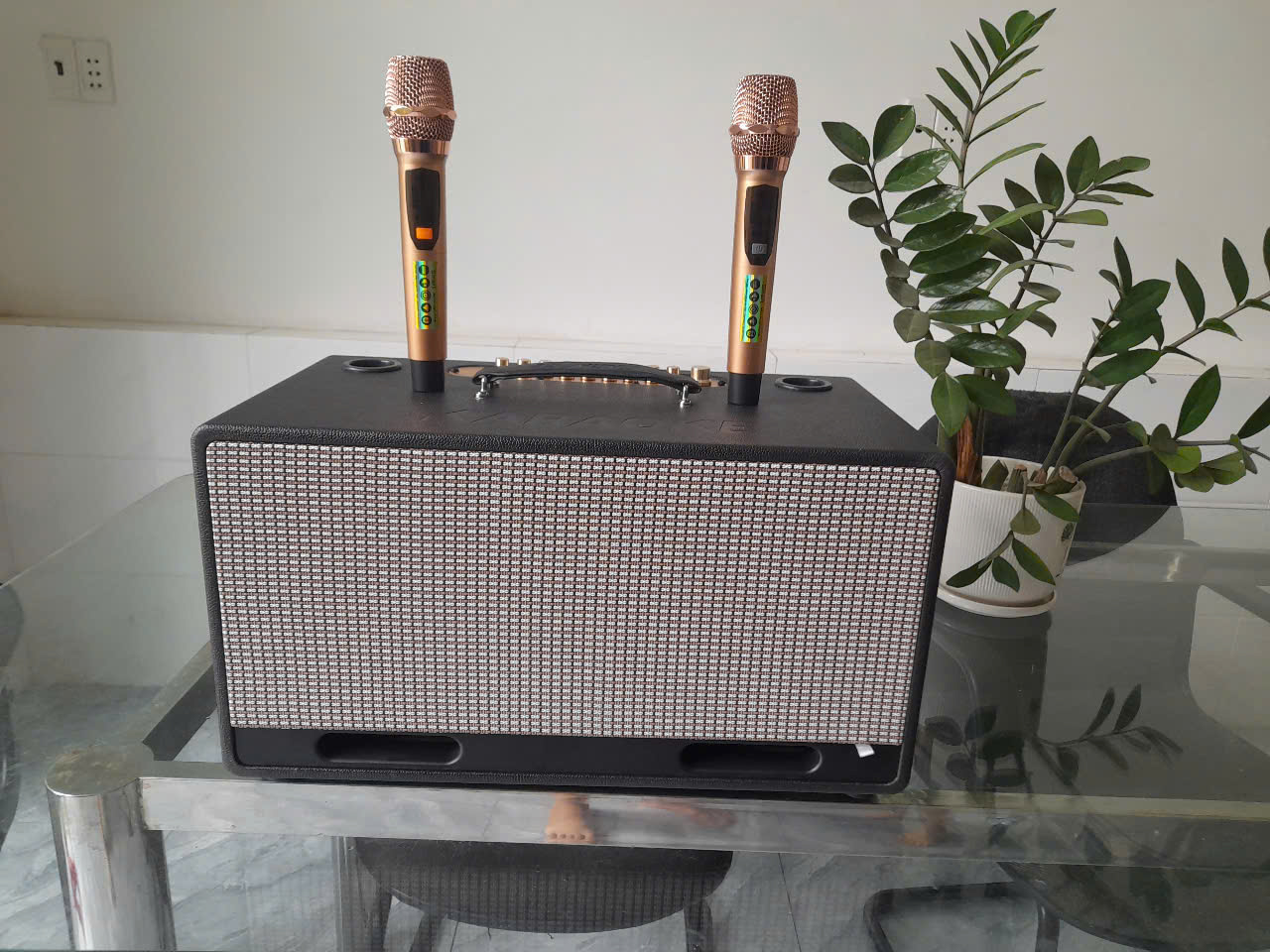 Loa karaoke xách tay có reverb, hát karaoke cực hay, kèm 2 micro không dây