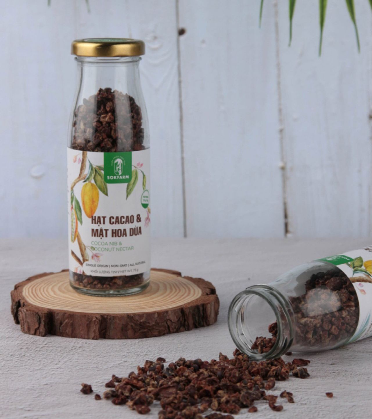Hạt Cacao & Mật Hoa Dừa 65gr