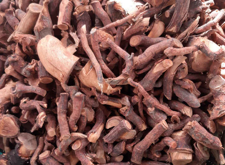 Rễ cây mú từn ngâm rượu - đặc sản tây bắc - đặc sản 27