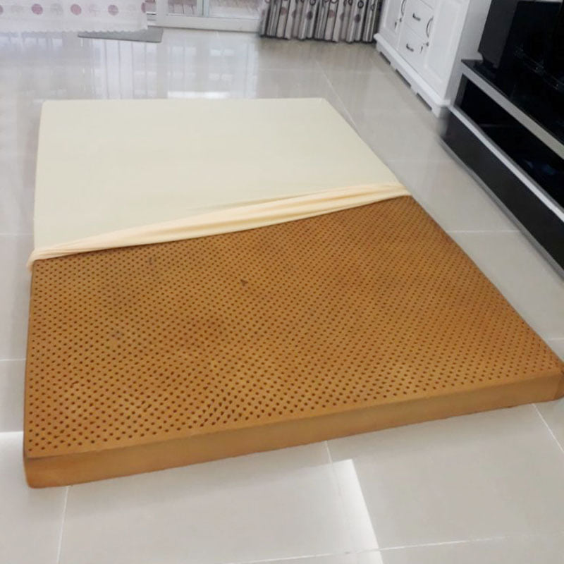 [HCM]Áo nệm vải thun trơn KT 1m2 x 2m0 x 10cm bọc 2 mặt co giãn 4 chiều có khóa kéo có 3 màu lựa chọn