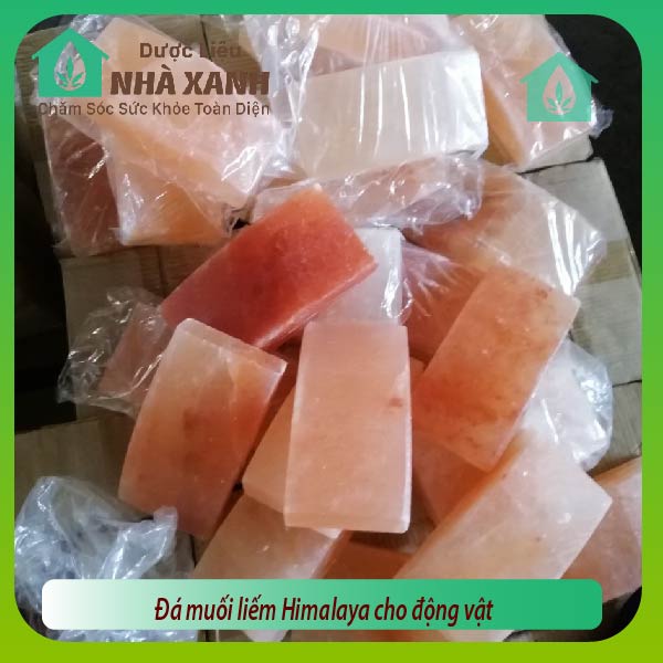 Đá muối liếm Himalaya cho động vật -