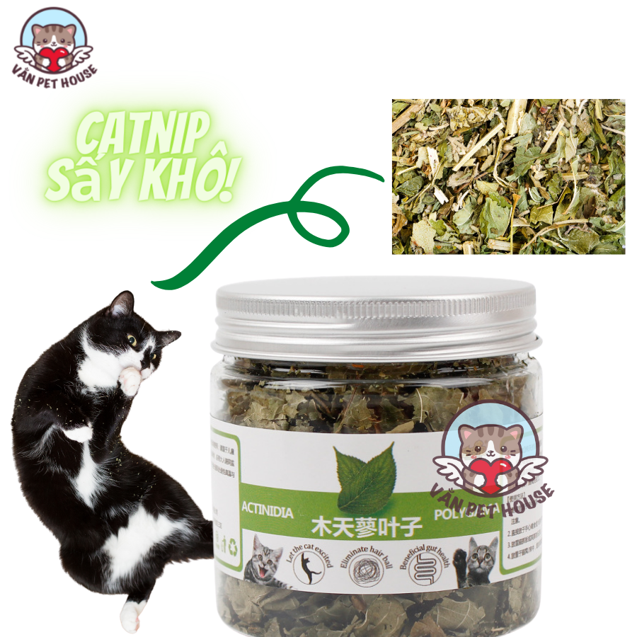 Hộp Catnip Cỏ Mèo Sấy Khô - Lá Lớn Không Nhuyễn