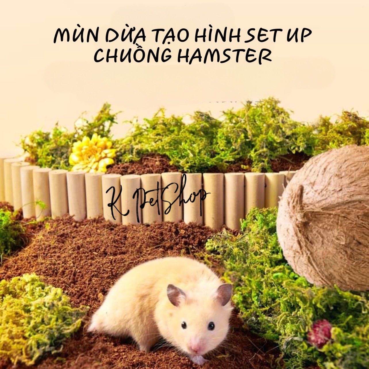 Lót chuồng cho hamster Mùn Dừa - xơ dừa lót chuồng tạo hình set up chuồng cho hamser bò sát